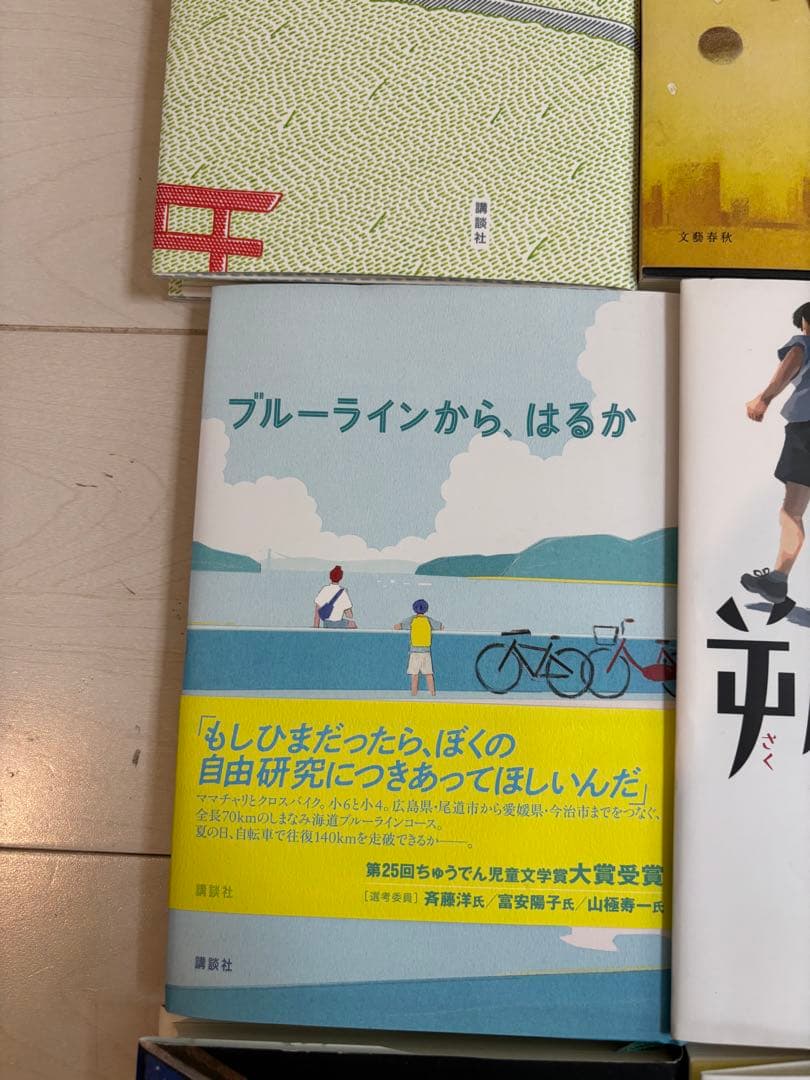中学受験　国語対策用　出題頻出本　20冊セット