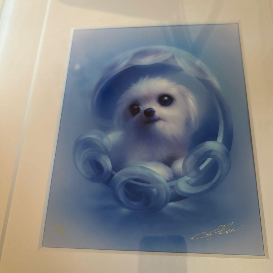 SHU Ｉcanシリーズ犬