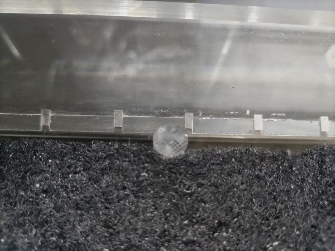 ADA　侘び草ウォールと侘び草ウォールスタンドセット