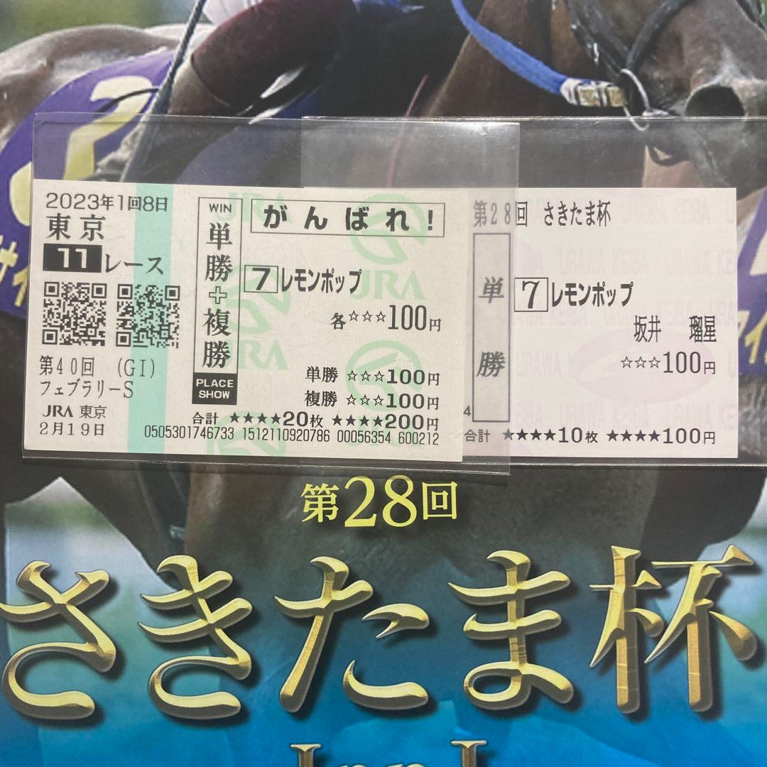 レモンポップ さきたま杯現地馬券 パンフレット フェブラリーS応援馬券 セット