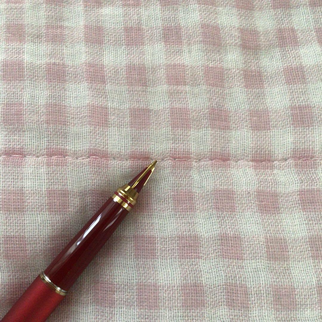 セーラー 万年筆 トライデント ヘアライン 全方向筆記 赤 細字 廃盤