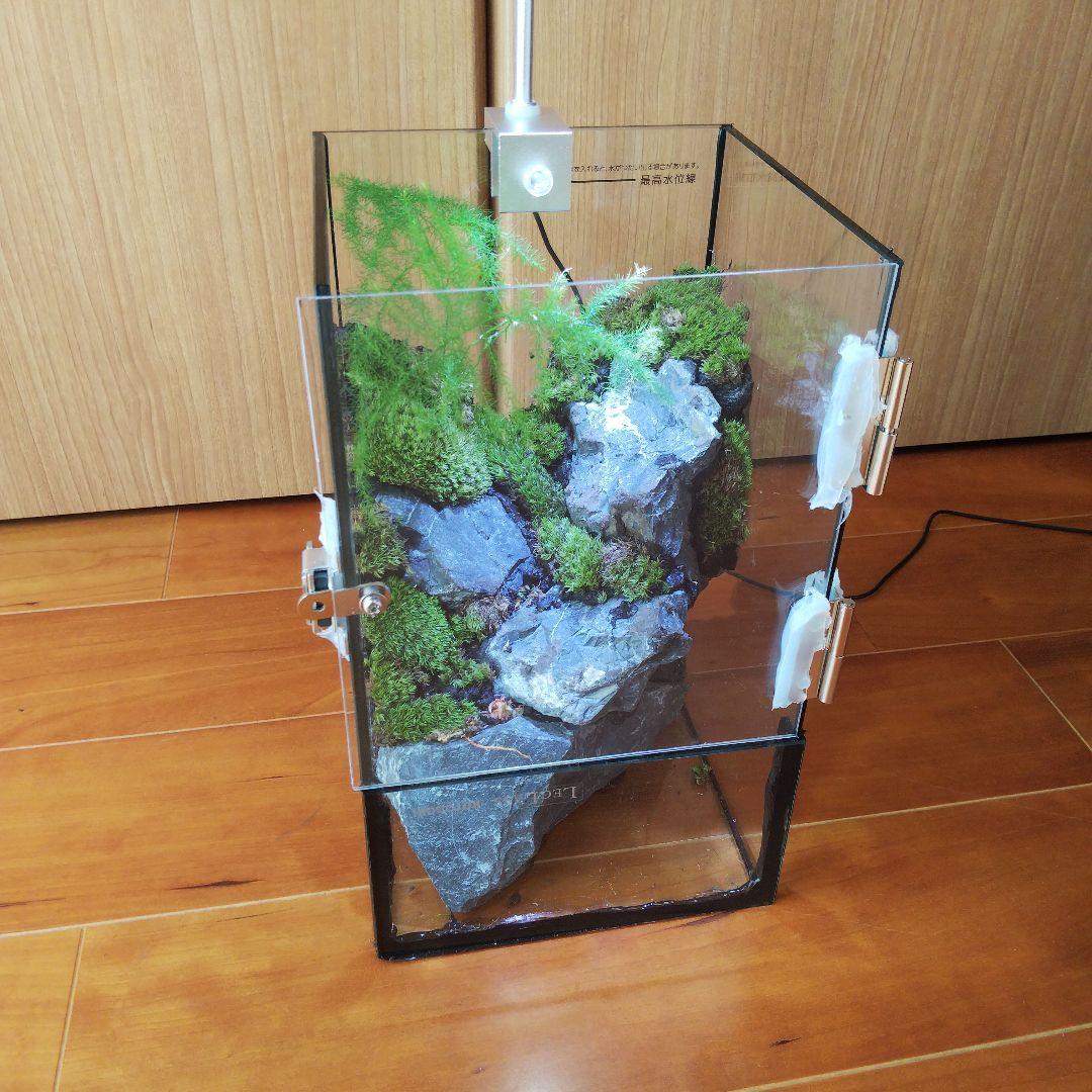 【受注生産】扉付き水槽　イモリウム パルダリウム テラリウム