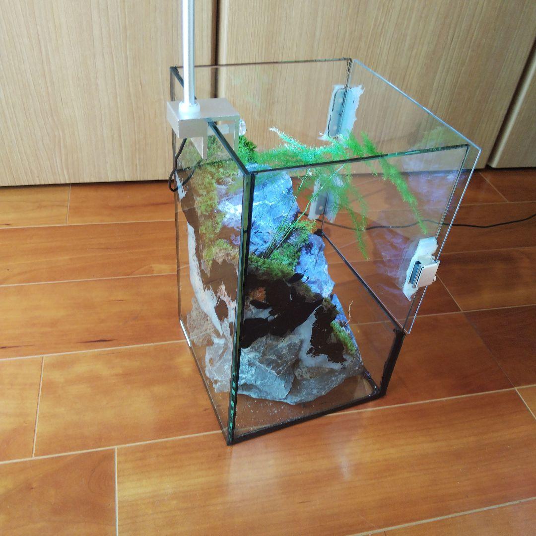 【受注生産】扉付き水槽　イモリウム パルダリウム テラリウム