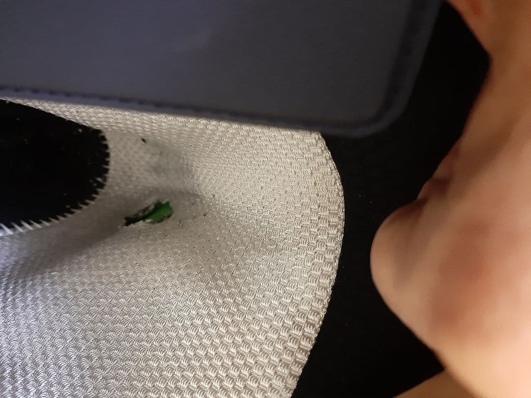 BURTON ION 25.5cm アジアンフィット