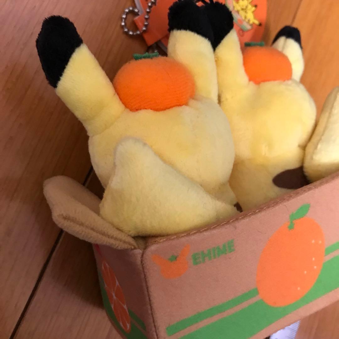 ペアピカチュウとえひめみかん　ぬいぐるみ　愛媛みかん　えひめみかん　愛媛　えひめ