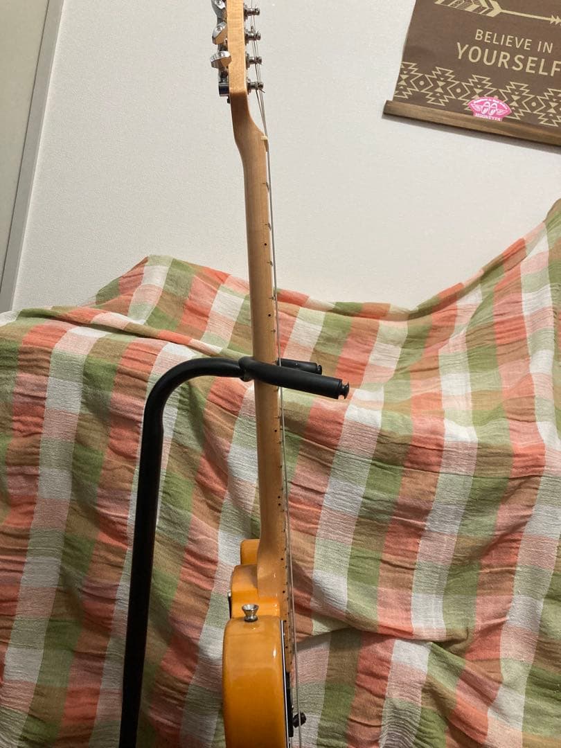 Tagima テレキャスタータイプ　TW-55