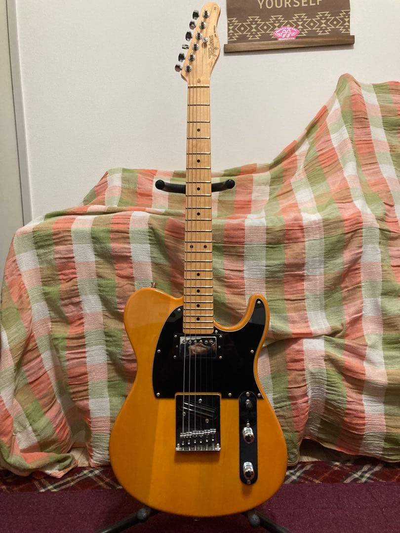 Tagima テレキャスタータイプ　TW-55