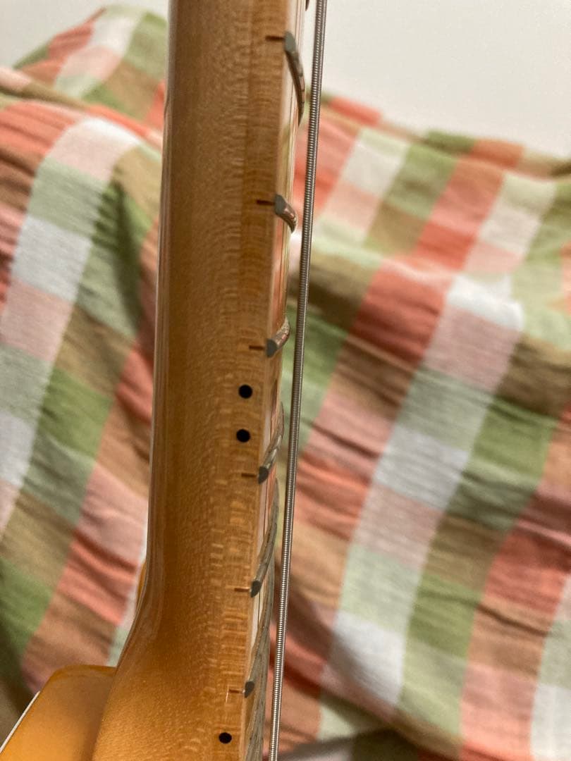 Tagima テレキャスタータイプ　TW-55