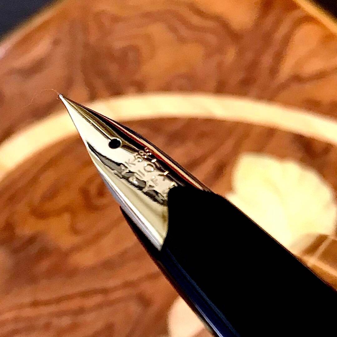 ☆最極上美品☆美しいパイロットエリート万年筆(Ｆ)☆超お勧め品