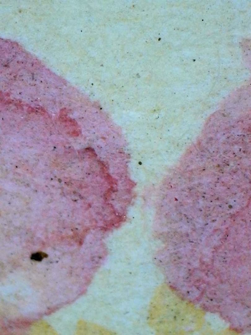 処分価格　狩野伊川院栄信 掛軸