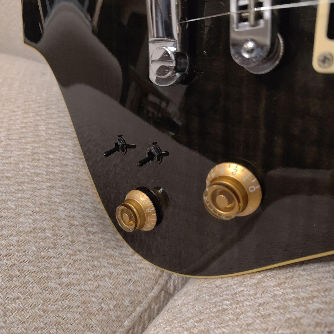 【試奏動画あり】FERNANDES RAVELLE ELT サスティナー搭載