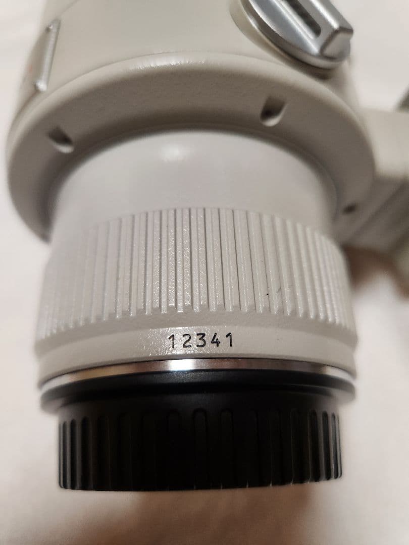 Canon EF 300mm f/2.8L USM 純正エクステンダー1.4XⅡ