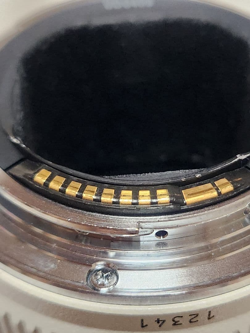 Canon EF 300mm f/2.8L USM 純正エクステンダー1.4XⅡ