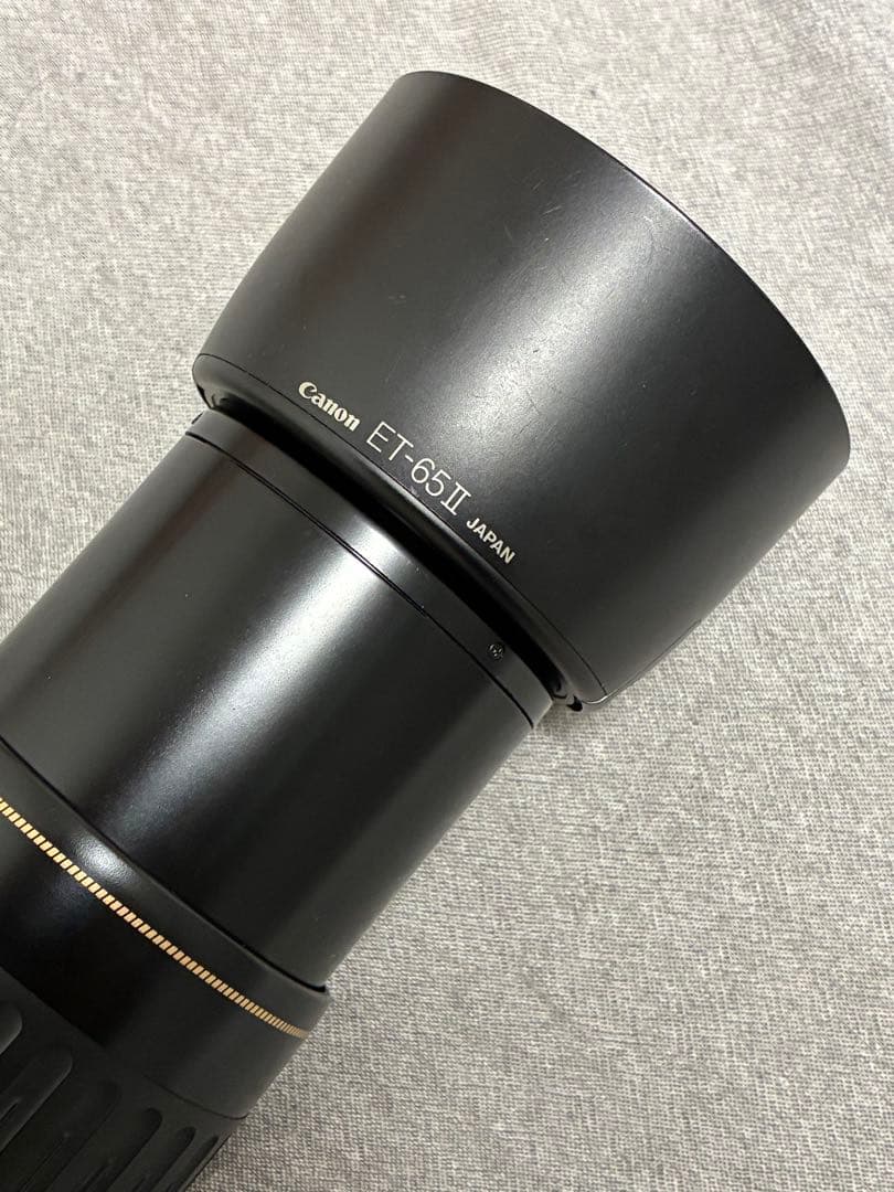 ⭐️美品⭐️キャノンCanon EF 100-300mm 4.5-5.6 USM