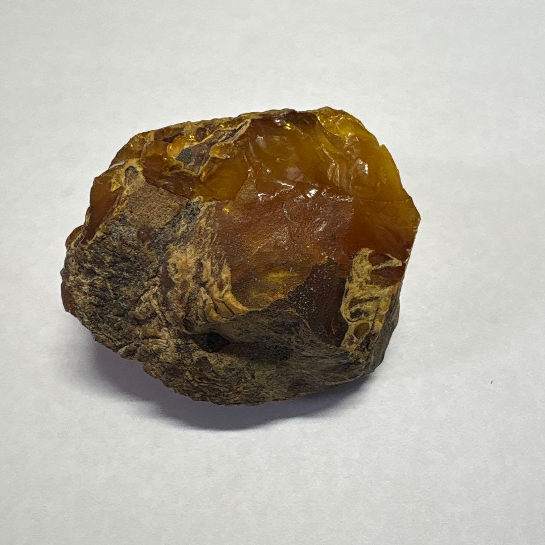 琥珀 アンバー 化石 宝石 原石 岩手県久慈産