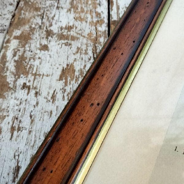 イタリア ヴィンテージ 大判 無垢 木枠 額装 アート パネル 大型 特大 美術