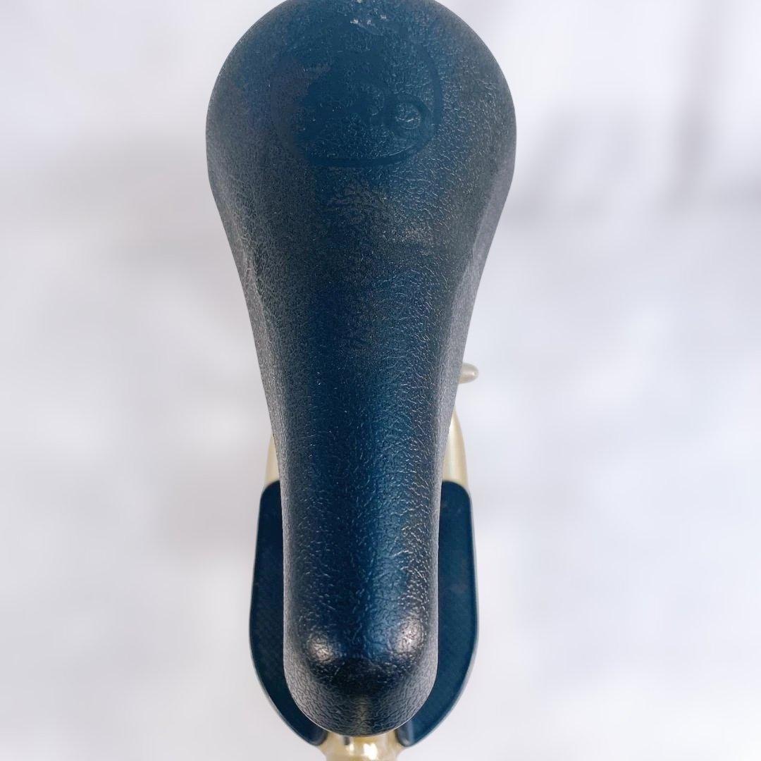 ストライダープロ 10周年記念 限定モデル シャンパンゴールド　スポーツモデル