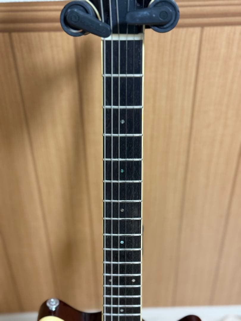 T’s Guitars Arc-STD VS100N マホガニー エボニー指板