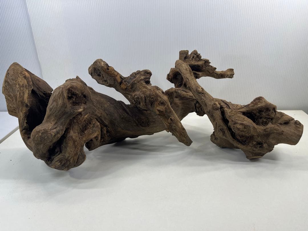 V67アク抜き済み流木 爬虫類シェルター 登り木 インテリア 生け花