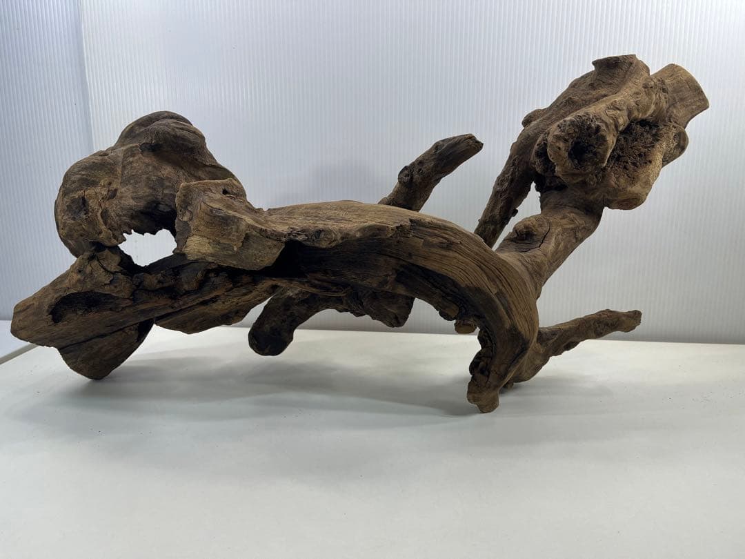 V67アク抜き済み流木 爬虫類シェルター 登り木 インテリア 生け花