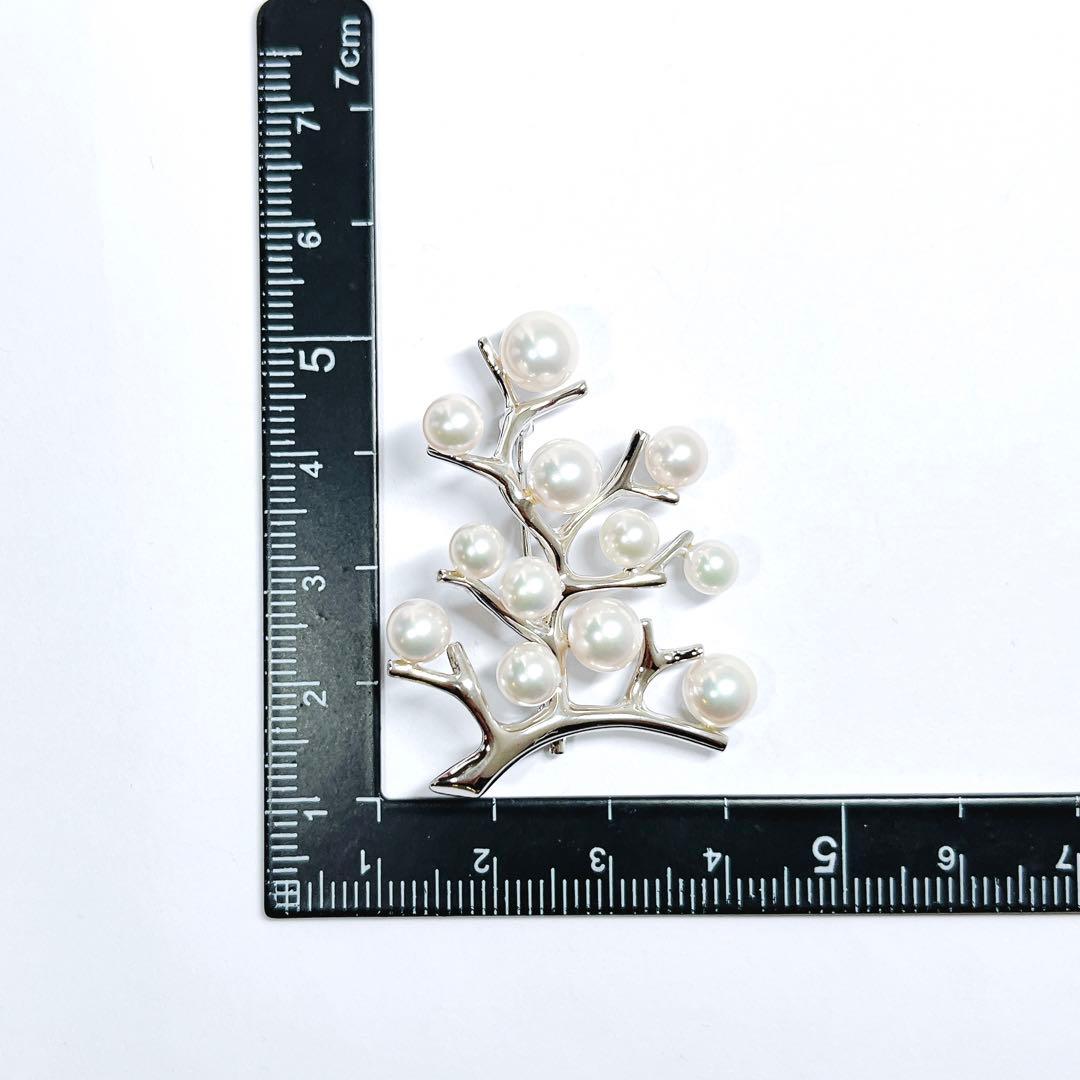 【現行品・極美品】✨ミキモト パール　ブローチ　幸福の木　ラージサイズ