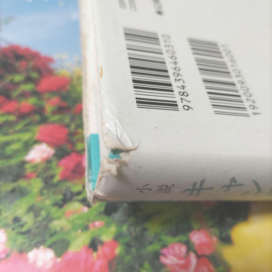 小説　キャンディ・キャンディ　FINAL STORY