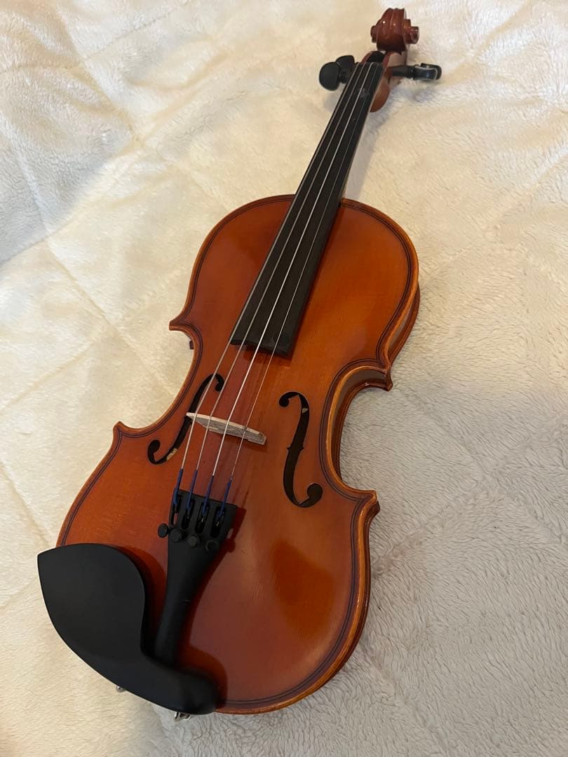 お値下げ⭐︎Eastman VL80 バイオリンセット　1/8