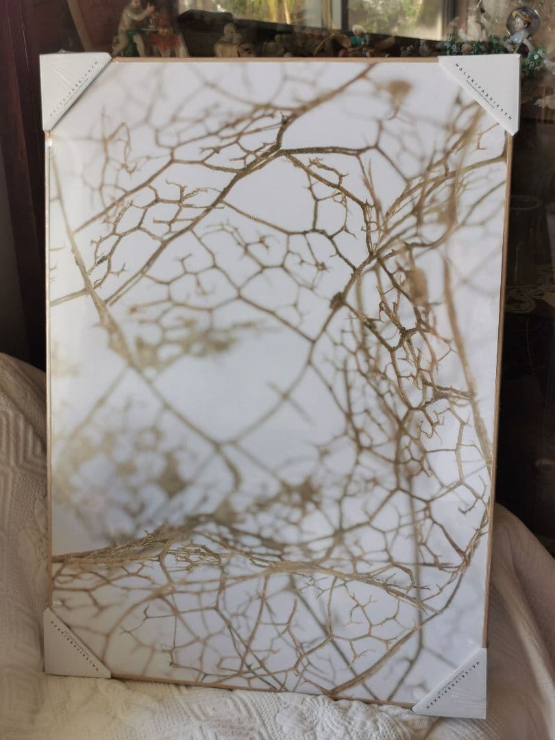 未開封デンマーク アートパネル マレリファブリケン 白木オーク リーフスケルトン