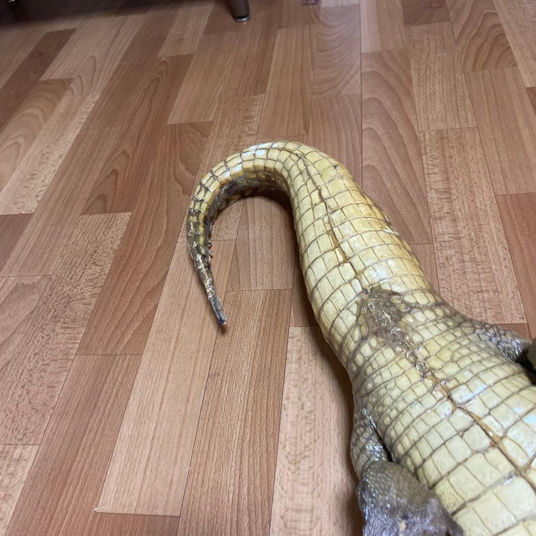 リアルワニ模型 約90cm