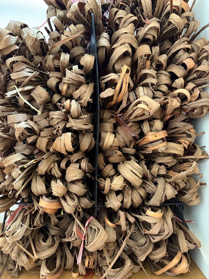 山葡萄樹皮　岩手県産2025 週末お値下げ