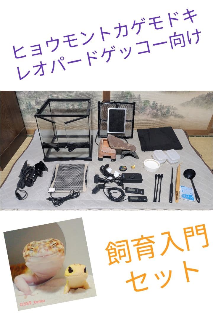 EXO TERRA（エキゾテラ）グラステラリウム3030含む レオパ飼育セット