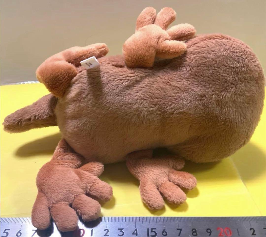 オオサンショウウオ　BIG 大約８５センチ　小約30センチ　小約20センチ