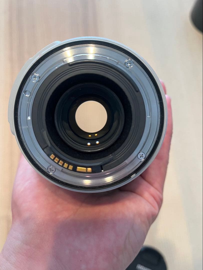 【値下】Canon EF 70-300mm f/4-5.6 L IS USM