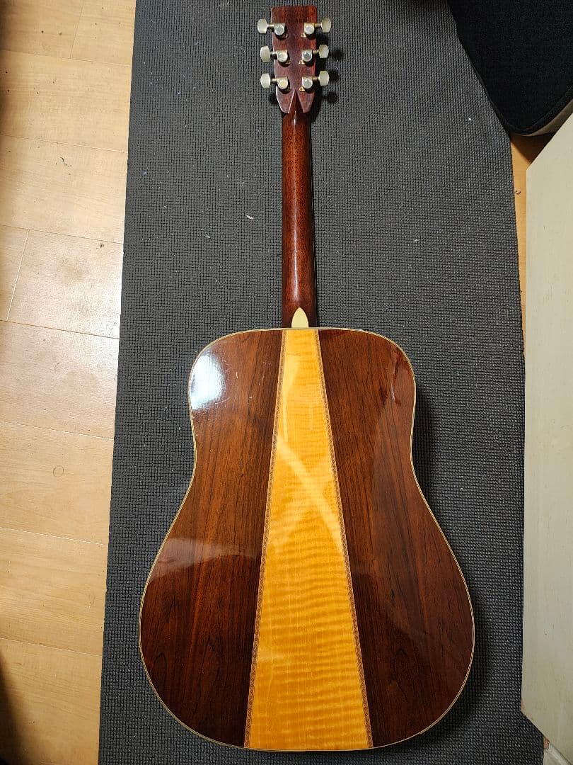 Morris TF-801ハカランダ/訳あり