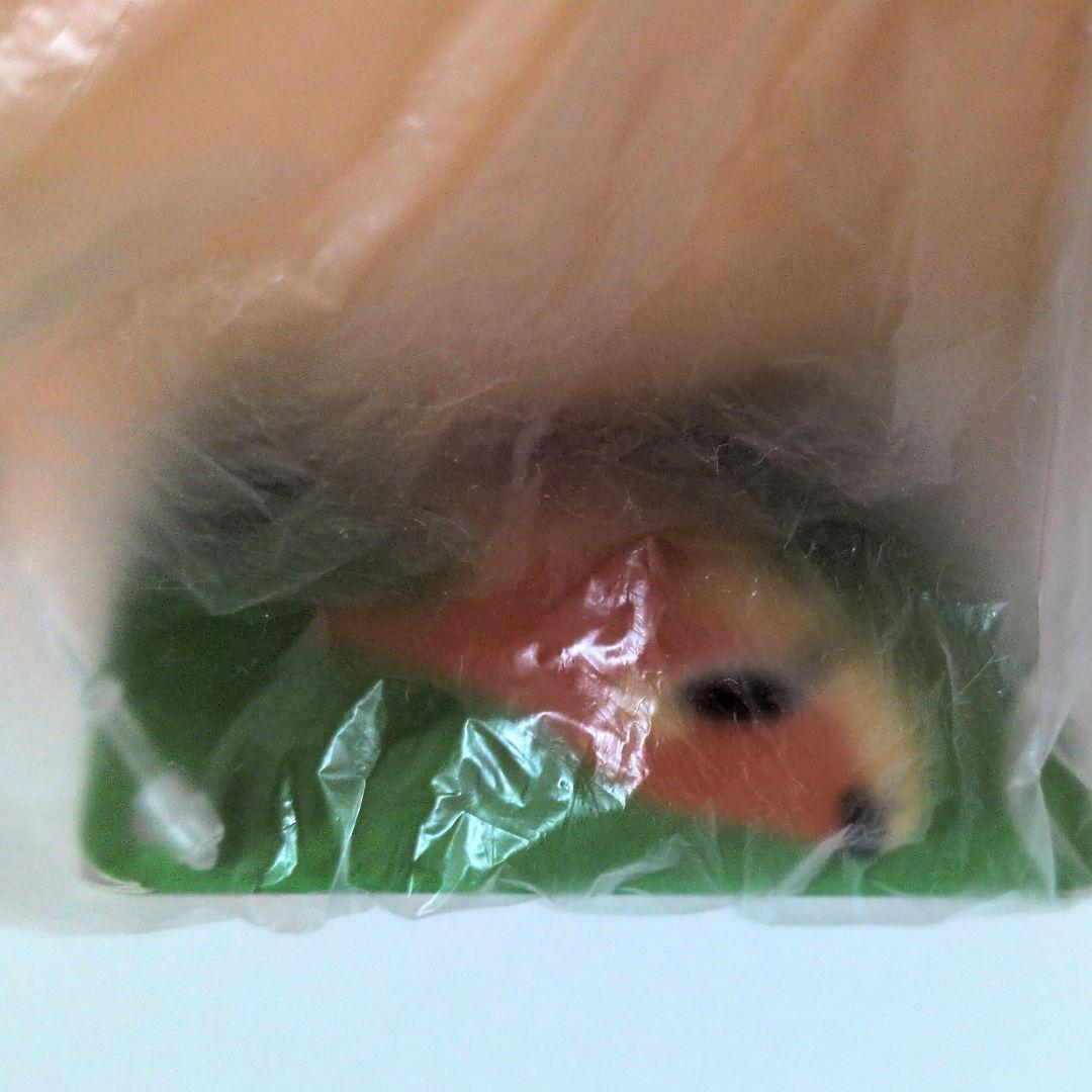 ポケモンセンター　ブイゼル　ぬいぐるみ　pokemon time　クッション