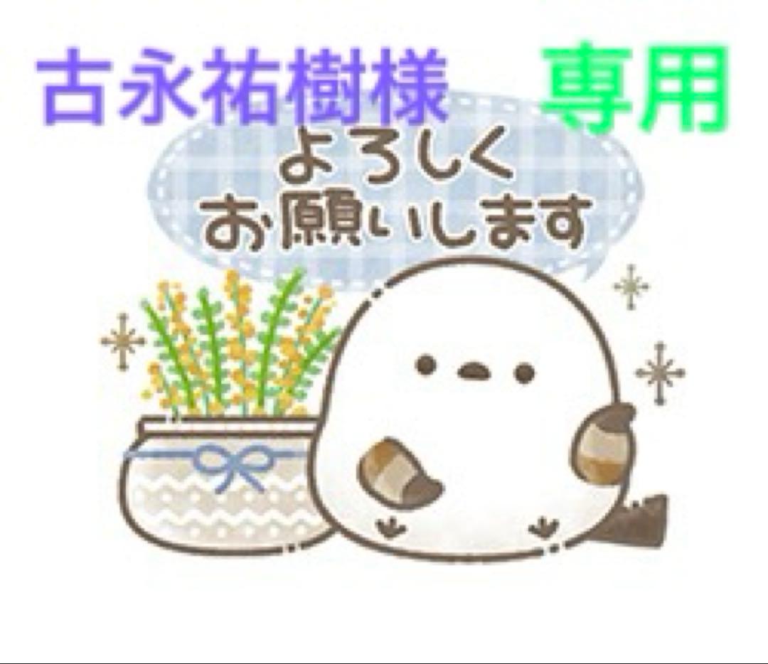 ⚠︎専用　せせらぎに身をゆだね アリス SP サイン ヴァイスシュバルツ 電撃文庫