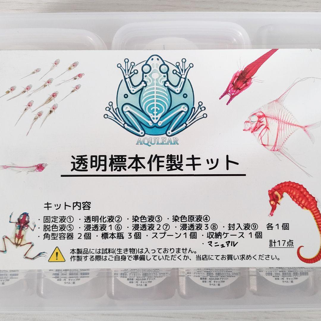 オリジナル商品☆専用販売【透明標本作製キット】×2個