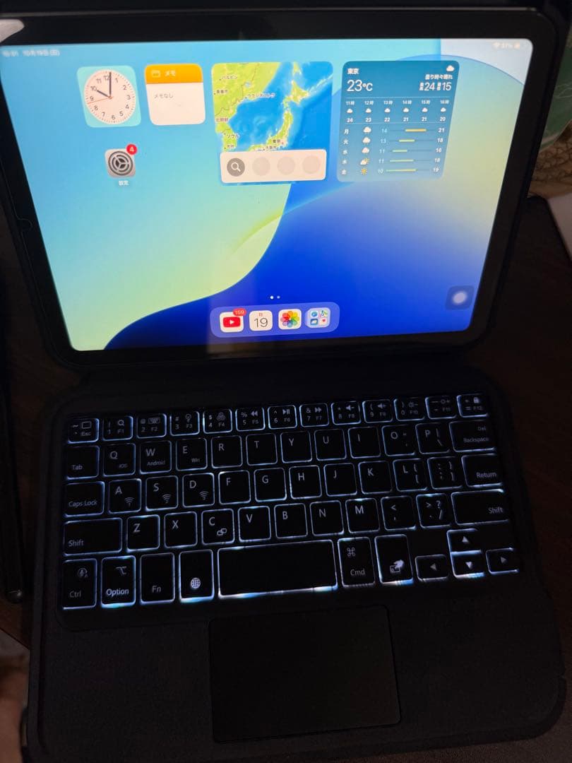 iPad本体 iPad Mini7 256GB WI-FI + Cellular