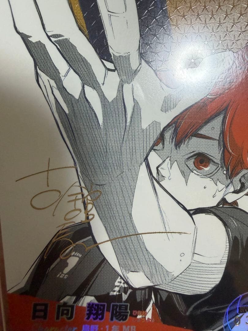 ハイキュー!! バボカ!! BREAK 日向翔陽 シリアル サイン入り