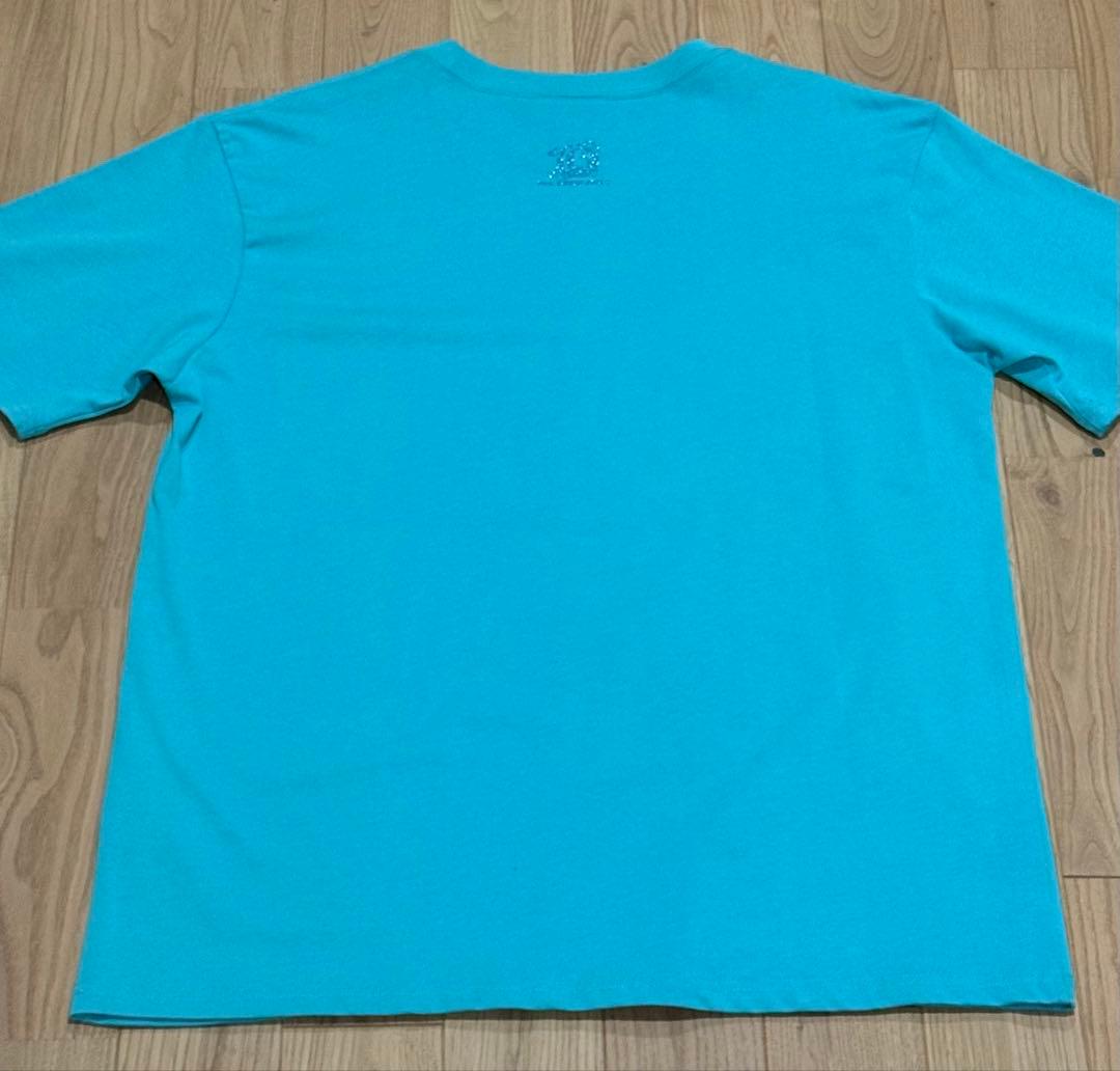 【非売品】フィヨルド ガチャ当たりアタリTシャツ 未着用