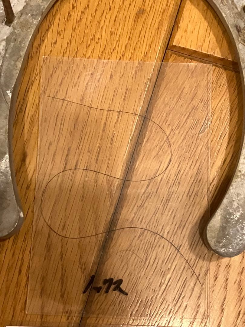 【イクイノックス】実使用　蹄鉄　鬣　たてがみ　2023ジャパンカップ馬券　①