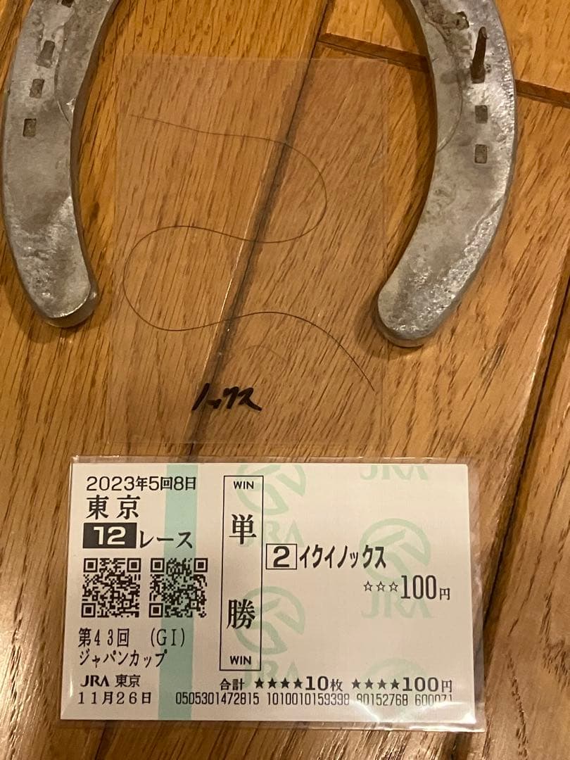 【イクイノックス】実使用　蹄鉄　鬣　たてがみ　2023ジャパンカップ馬券　①