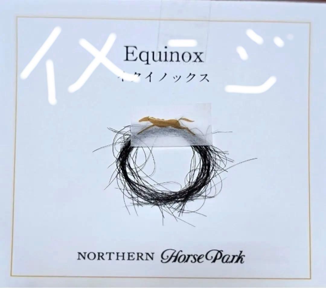 【イクイノックス】実使用　蹄鉄　鬣　たてがみ　2023ジャパンカップ馬券　①