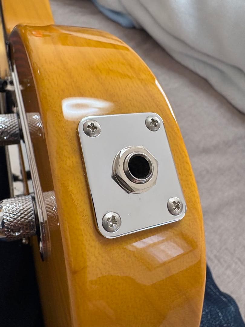 FUJIGEN Neo Classic NTL10MAH/VNT軽量固体