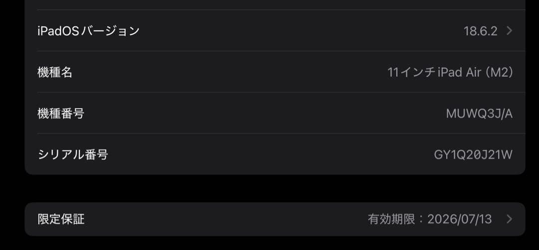 高級ケース付 極美品 iPad Air M2 1TB 11 インチWi-Fi