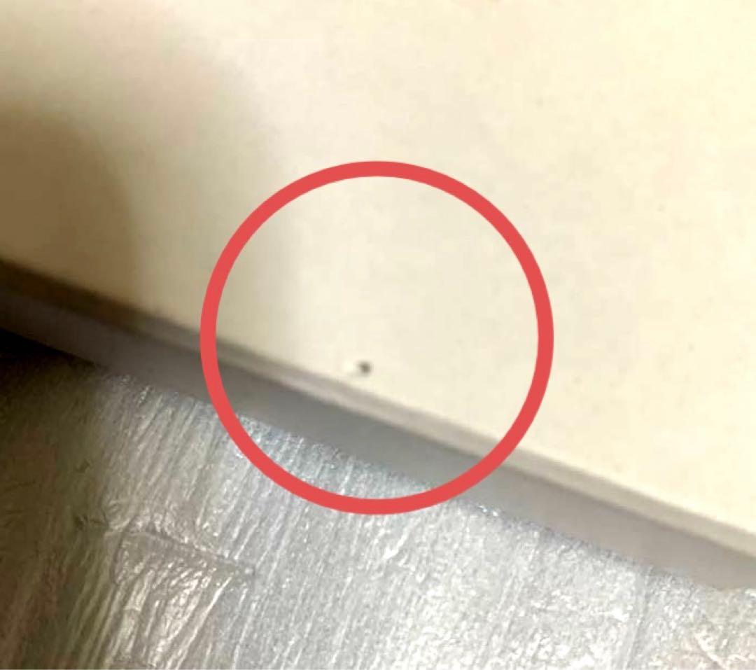 藤井フミヤ　FF限定　30周年記念リストウォッチ