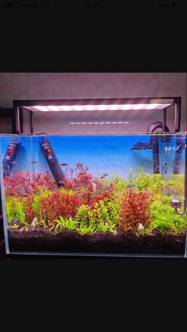 20kg業者様愛され高品質ろ材 納豆菌多孔質パワーボール20kg即時発送送料込み