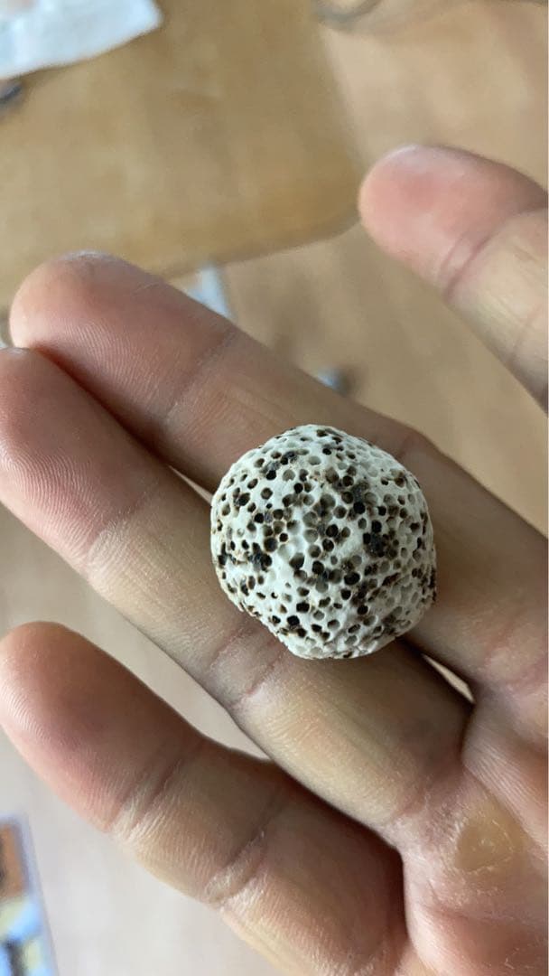 20kg業者様愛され高品質ろ材 納豆菌多孔質パワーボール20kg即時発送送料込み