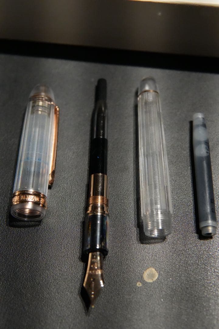 PLATINUM Century 万年筆　ニース ロゼ