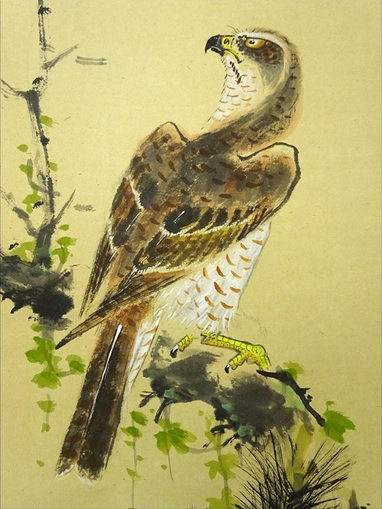 【真作】掛軸 丸尾玉琳『老松に鷹之図』紙本 共箱付 掛け軸 a100816